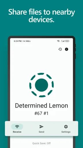 LocalSend, screenshot 1
