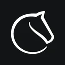 Lichess ikon