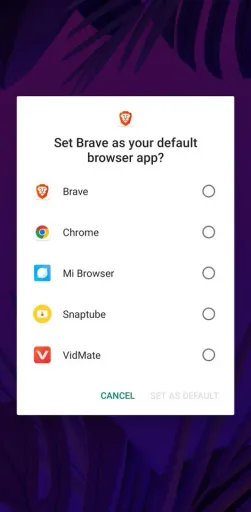 Brave Browser, screenshot 1