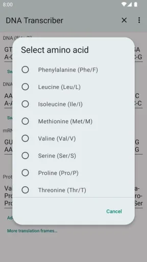 DNA Transcriber, screenshot 2