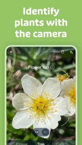 Flora Incognita, screenshot 2
