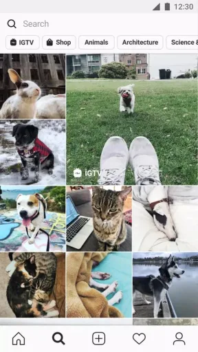 InstaPro ♚, screenshot 3