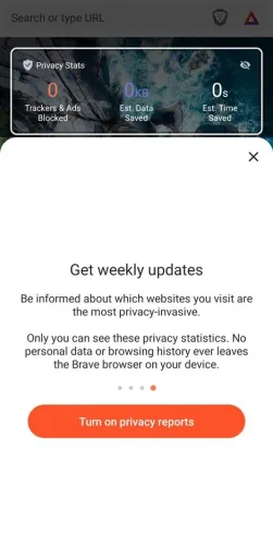 Brave Browser, screenshot 2