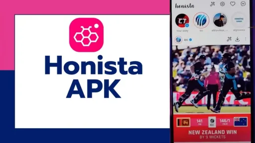 Honista, screenshot 2