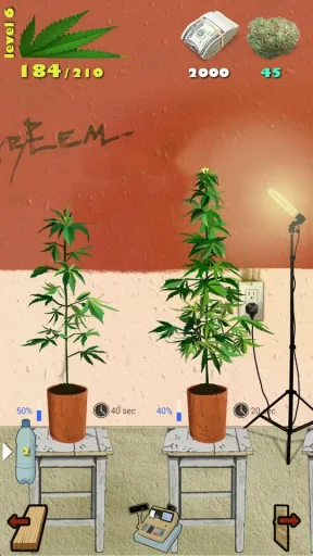Weed Firm, screenshot 2
